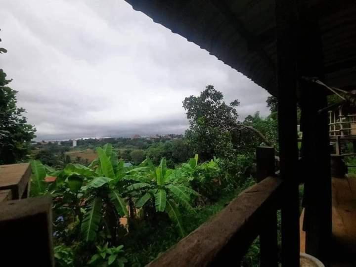 Tree Lodge Banlung Luaran gambar