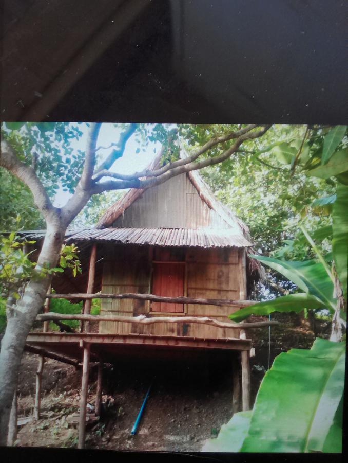 Tree Lodge Banlung Luaran gambar