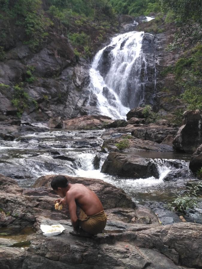 Tree Lodge Banlung Luaran gambar