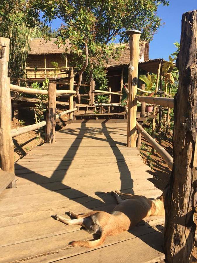 Tree Lodge Banlung Luaran gambar