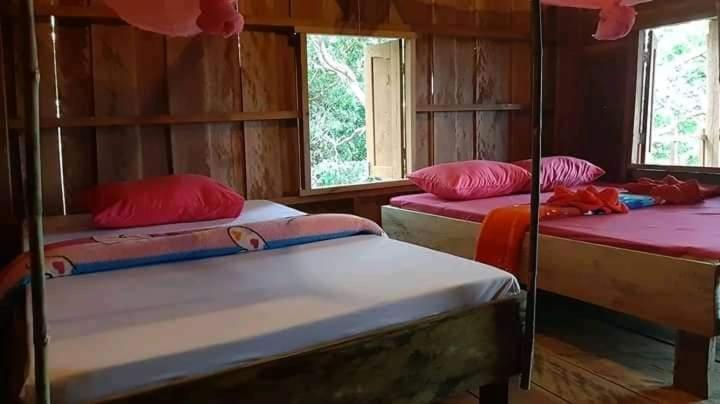 Tree Lodge Banlung Luaran gambar